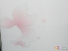 ӡƷ (chung)¸ʽܟ