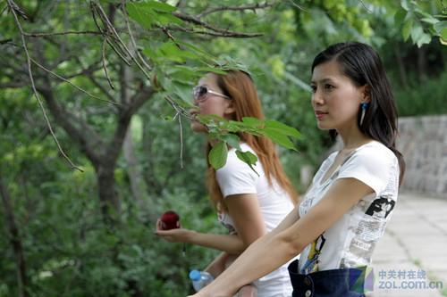 ������Ȼ֮������˼����ɽԲ���ɹ�