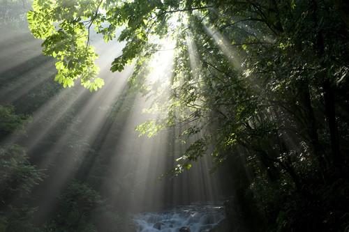 大光圈新魅力 尼康35mm F1.4镜头样张欣赏_数