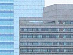 ���ŵ���PK�῵D3100/����550D�Ա�����(9)