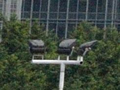 ���ŵ���PK�῵D3100/����550D�Ա�����(9)