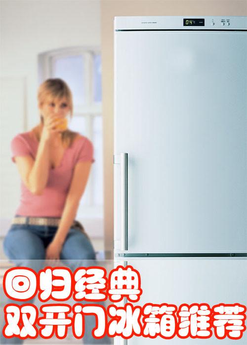 回归经典款式市售超值双开门冰箱推荐