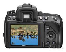 �»�ռ���ɽ������ŵ�����������TOP5