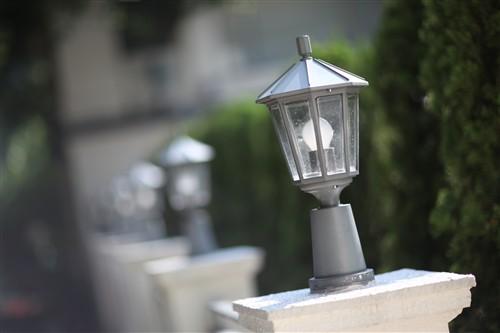 佳能 佳能 EF 85mm f/1.2L II USM 样张图