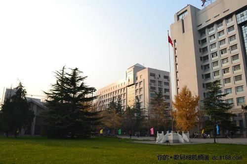 尼康D3100