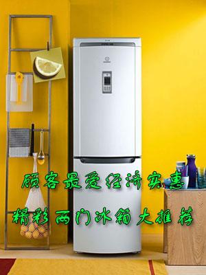 顾客最爱经济实惠精彩两门冰箱大推荐