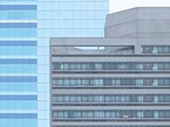 ���ŵ������῵D3100/����550D�Ա�����(6)