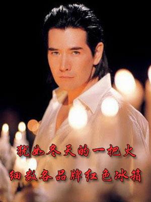 犹如冬天的一把火细数各品牌红色冰箱