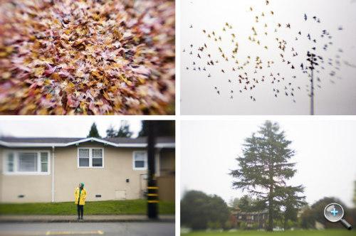 创意搞怪摄影Subjektiv特效定焦镜头