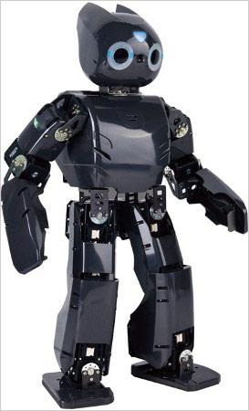 另类配置DARwin-OP机器人电脑