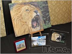 新概念TRYX降临卡西欧TR100真机图赏