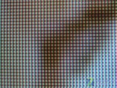 ƽ�����֪���٣���������γ�Ϊר�� 