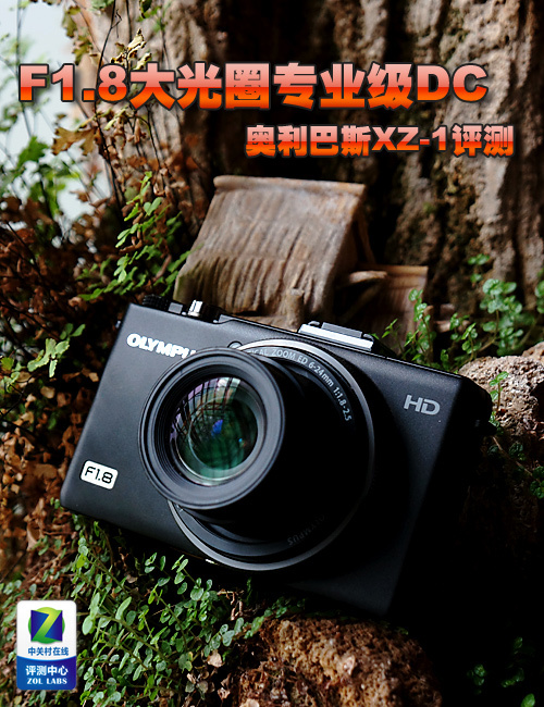 F1.8ȦרҵDCְ˹XZ-1