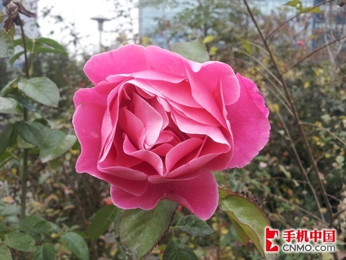 双核最强战摩托罗拉ME865对比三星i9100(5)