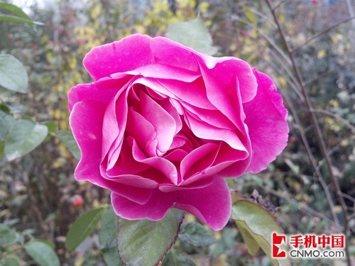 双核最强战摩托罗拉ME865对比三星i9100(5)
