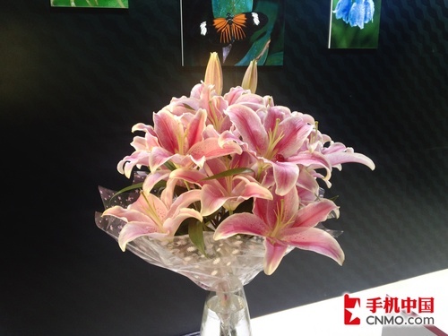 1300万像素双核旗舰摩托罗拉MT917图赏(4)