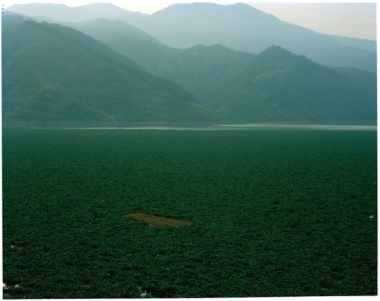 生物入侵调查:水葫芦坐标_科学探索