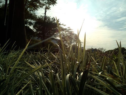 对比4S\/小米\/M9 魅族MX拍照功能对比评测(2)