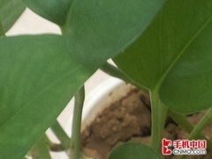 价格仅差10元摩托罗拉RAZR对比I9100(4)