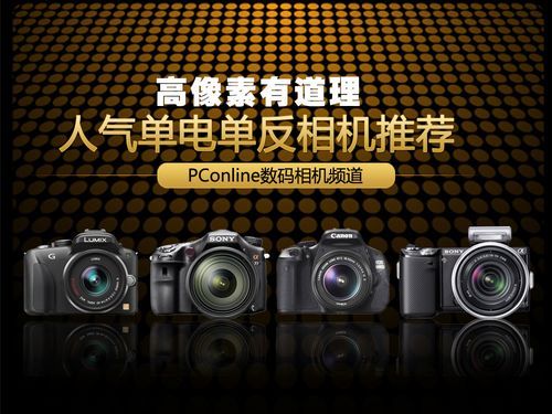 高像素有道理五款热门单电单反相机推荐