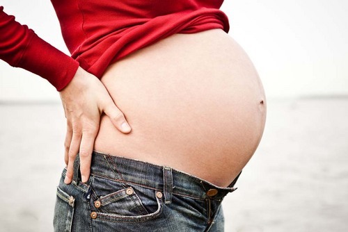 龙宝宝2012扎堆生 