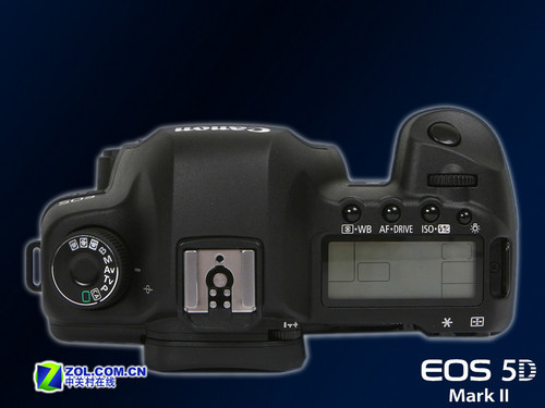 ȫ�����������Ȧ��ͷ ����5D2�׻����� 