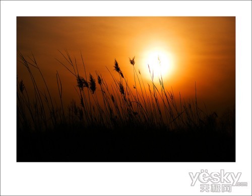 爱在黄昏日落时 用光影留住那些感动瞬间