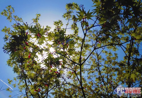 体验潮人乐趣 索尼炫酷J20卡片相机评测(5)_数