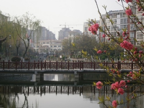 时尚又可爱的卡片DC 奥林巴斯D710评测