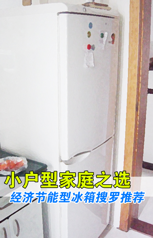 小户型家庭之选 经济节能冰箱搜罗推荐