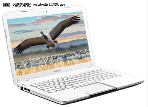 ʱ����۳�ɫ���ܶ�֥L800-C02W��4700