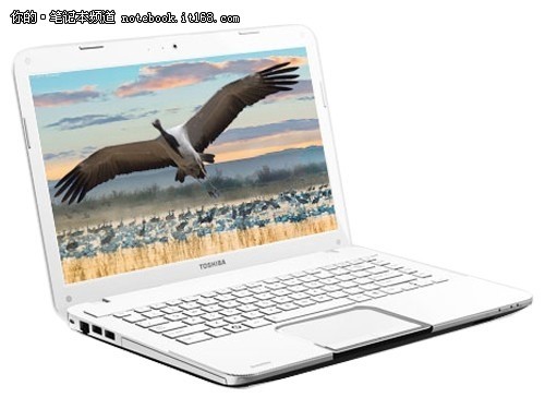 ��ǿ��Ϸ���ܶ�֥L800-C02W�ۼ�4800Ԫ