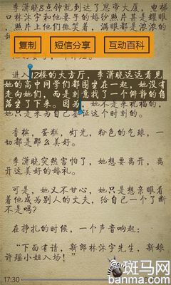 夏日里的书香气息WP手机阅读应用推荐