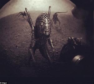 �������Ѷ�����Ŵ�����Ƭ(ͼ)