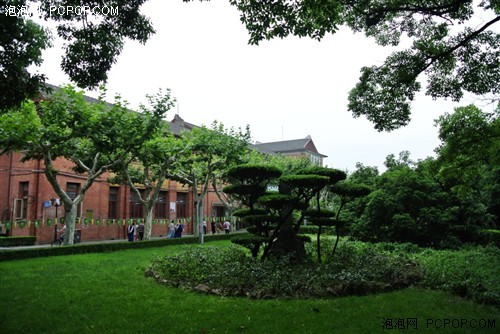 夏日随手拍尼康V1微单相机试用体验