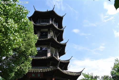 夏日随手拍尼康V1微单相机试用体验