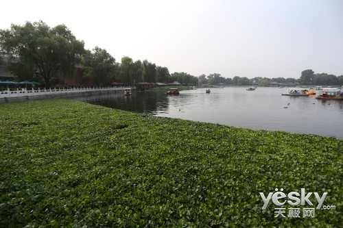 ��ǿ�ں˼���1DX�������ؼ�����ʵ������(2)