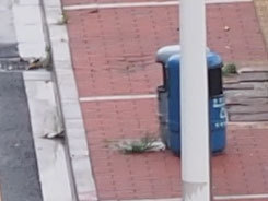 M4/3С�����񾵰��ְ�˹45mm/F1.8����