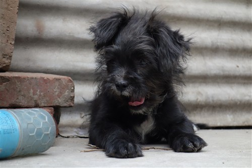 最便携的专业备机索尼黑卡RX100解析(2)