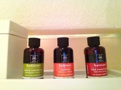 5��5��������iPhone5����ʵ���鱨��