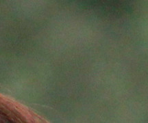 国产首款高速同步闪灯 永诺YN568EX评测 国产首款高速同步闪灯 永诺YN568EX评测