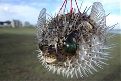 25日相机行情:佳能首款微单上市售4624元(4)_