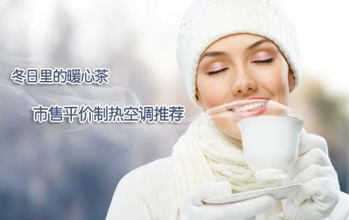 冬日里的暖心茶市售平价制热空调推荐