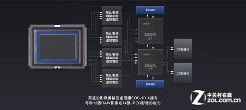旗舰单反无冕之王 佳能EOS 1D X深度评测