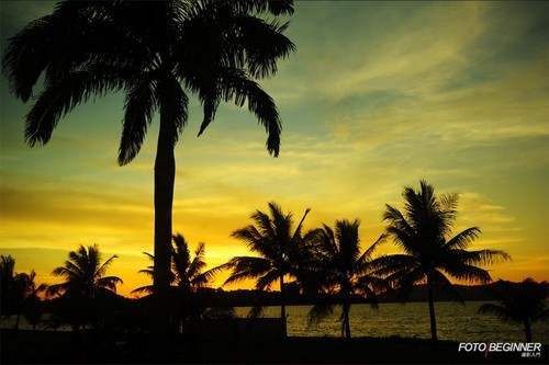 ����Ƭ���ո�ǿ�Ұ�ƽ���ħ��