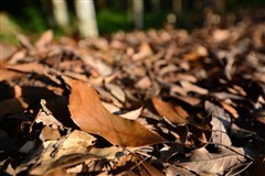 ���ŵ���ȫ�ڽ�һ�����������������(7)