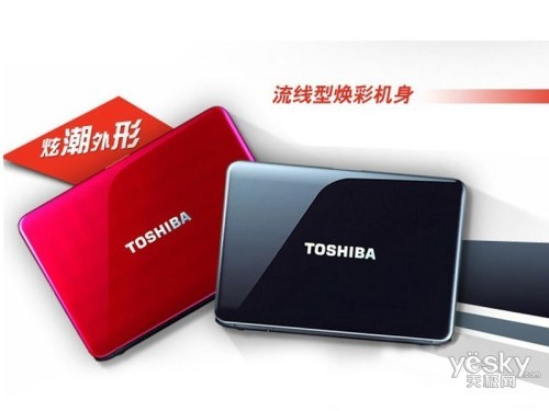 ��֥ C805D-T08B(������)