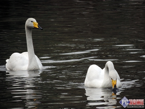 GPS定位新智族 尼康长焦相机P520评测(9)