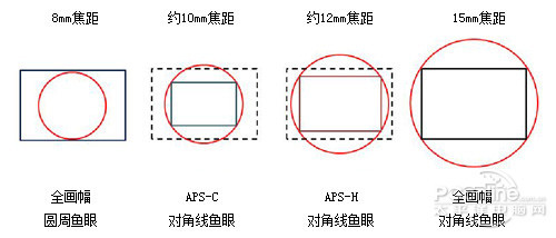 3978992842.jpg