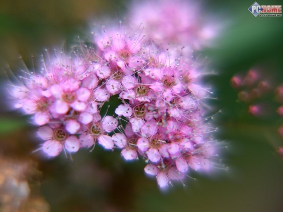 一切近收眼底HOYA TEC近摄镜套装评测_数码